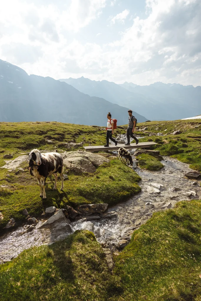 Zwei Wanderer überqueren einen Holzsteg über einen Bach in der malerischen Ötztaler Berglandschaft.